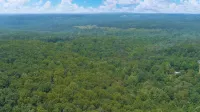 Serenity Escape Treehouse and Fire Pit - Charming Nature Retreat Hotels in DeKalb County