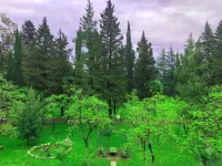 Imeri Park Hotel Hotels in 
