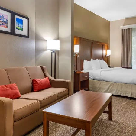 Comfort Suites Clayton - Garner