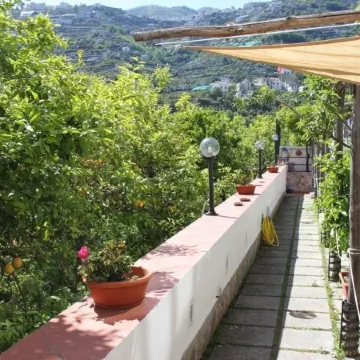 Eden Holiday