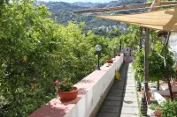 Eden Holiday Hotel di 