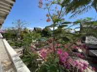 Breeze Residence Apartments Hoteles en Kiwengwa