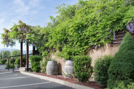 Rogue Regency Inn & Suites Отели рядом с достопримечательностью «Парк Ван Хорн»