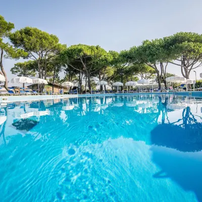 Hotel San Giorgio Resort 4S Hotels near Old Town