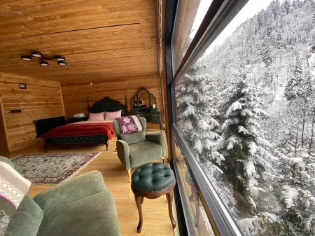 Ayder Dağ Evi Отели в г. Yukarisimsirli Koyu