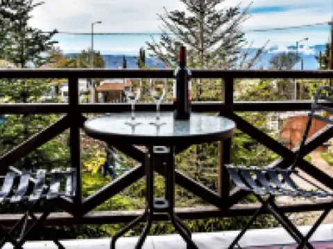 Likoria Hotel Hotels in Arachova
