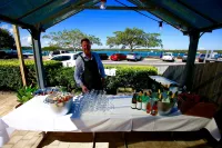 Tea Gardens Hotel Hotels in Hawks Nest