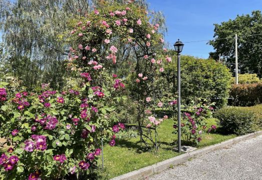 홈 스위트 홈의 평화로운 정원