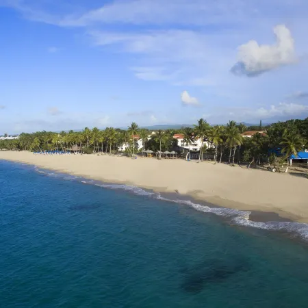 Emotions by Hodelpa Puerto Plata