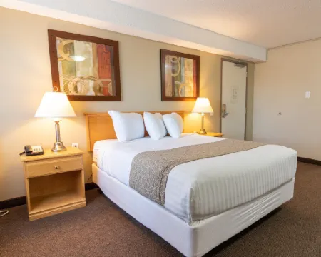 BCM インズ ロイドミンスター ロイドミンスターのホテル