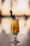 Seti Abu Simbel Lake Resort - bars