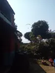 Nature Side Cottage Hotels in Kaski