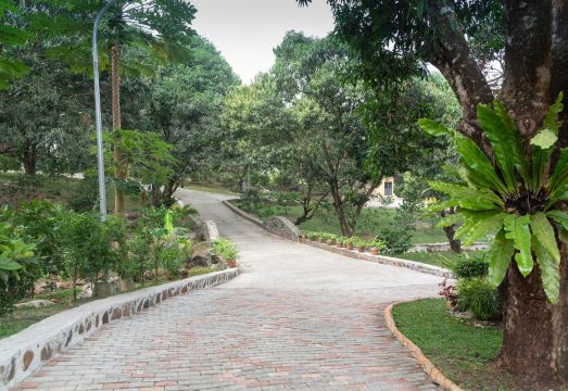 3. 노부 팜 리조트..