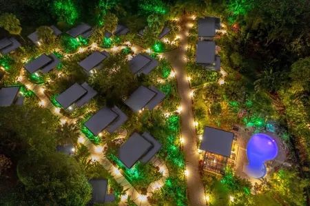 Noah's Forest Hotel by Tifakara