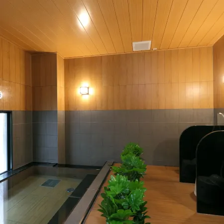 Hotel Route Inn Hamamatsu Dealer Dori