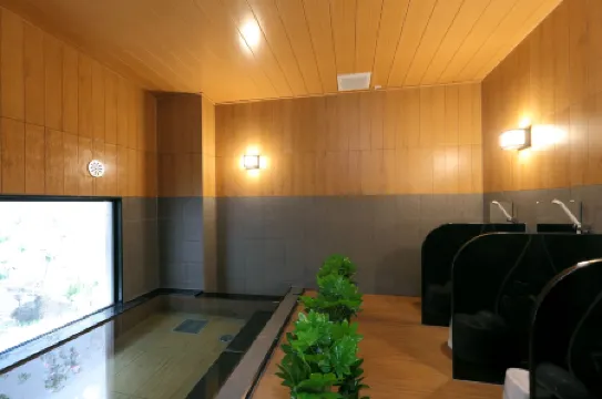 Hotel Route Inn Hamamatsu Dealer Dori