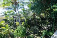 히비스쿠스 비치 리조트 & 스파