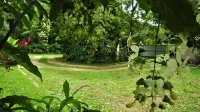 Purasanda Villa - Villas