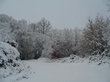 Casa Rural Rectoral de Candás Отели в г. Лимия