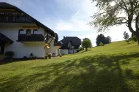 Hotel zum Ochsen in Schönwald im Schwarzwald Hotels in Schönwald im Schwarzwald