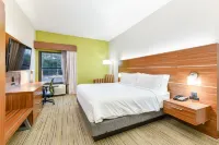 Holiday Inn Express & Suites Pigeon Forge/Near Dollywood