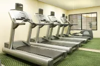 Country Inn & Suites by Radisson, Columbus-Edinburgh - Gym
