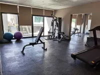 Blueberry Hill Hotel - gimnasio