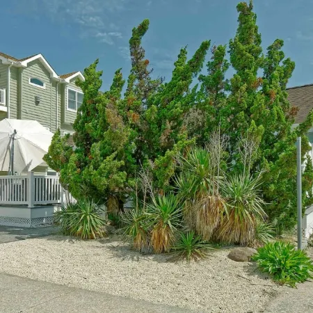 Cozy and Roomy Beachside Bungalow in Sea Isle