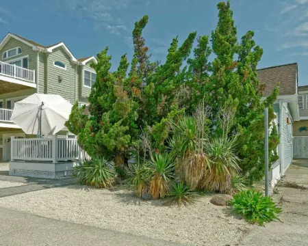 Cozy and Roomy Beachside Bungalow in Sea Isle 海島城酒店