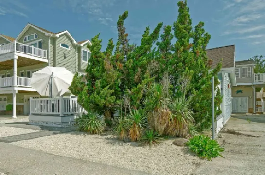 Cozy and Roomy Beachside Bungalow in Sea Isle