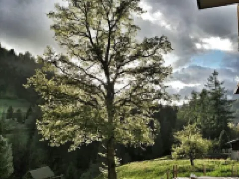 ラ ヴァレ ホテル & スパ バニュのホテル