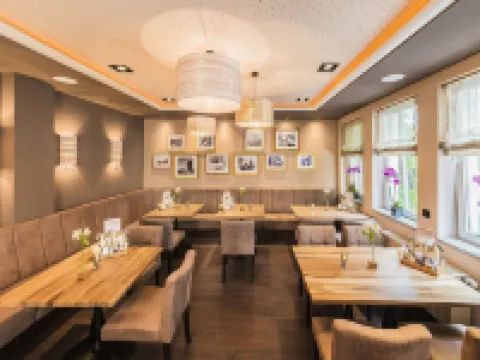 ホテル アレクト フライブルクのホテル