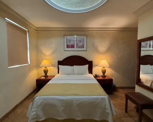 Hotel Plaza Express Hotels in Torreon