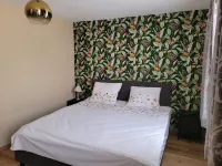 法爾肯堡的寵物友好住宿 Valkenburg附近的飯店