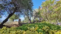 Welcomely - la Casa di Rita - Salamaghe