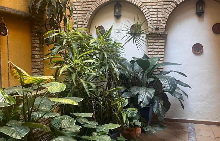 Hostal Lojo