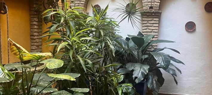 Hostal Lojo Hotels in La Janda