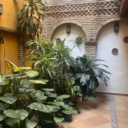 Hostal Lojo