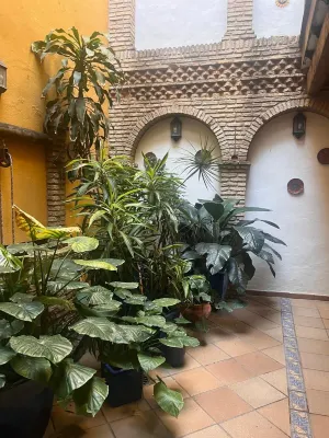 Hostal Lojo - Wifi