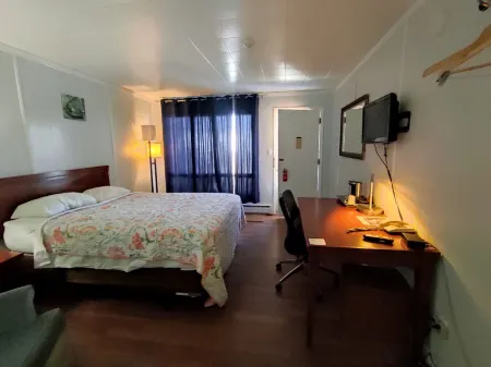 Regal Motel Отели в г. Тимминс