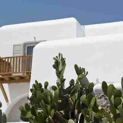 Villa Opal Hotel Exterior