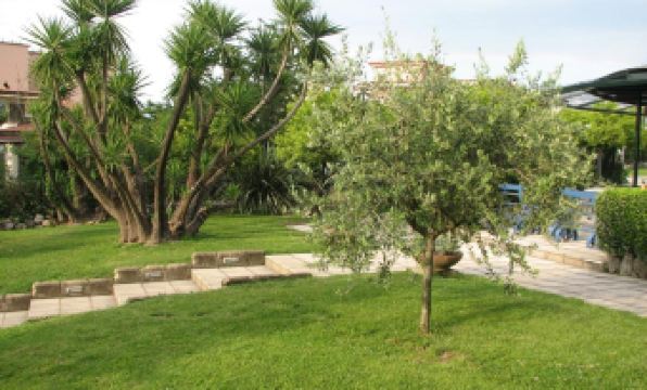 Hotel Parco - Housity