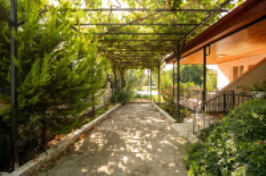 ルモス・ホームズ