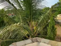 Mesite Classic Resort, Kilifi Hotels in Kilifi