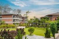 皇家鬱金香奇旺尼泊爾