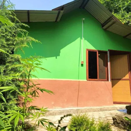 Treez Resort Pvt Ltd