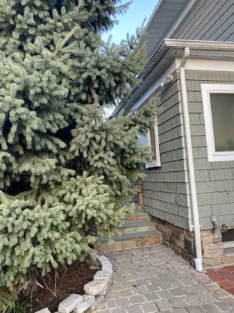 Stunning 3-Bedroom, 2-Bath Home w/ Attic – 38 Minutes from NYC by Train