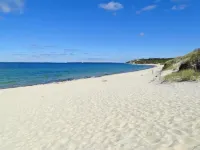 Secluded Cottage, West Tisbury, Lambert's Cove Beach Access Hotels in West Tisbury