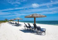 Paradise Point Ocean and Pool View 2 King Beds Hotels in Wheeland Settlement