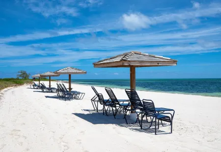 Paradise Point Ocean and Pool View 2 King Beds